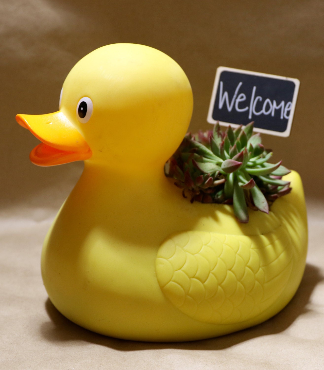 Large Rubber Ducky Planter