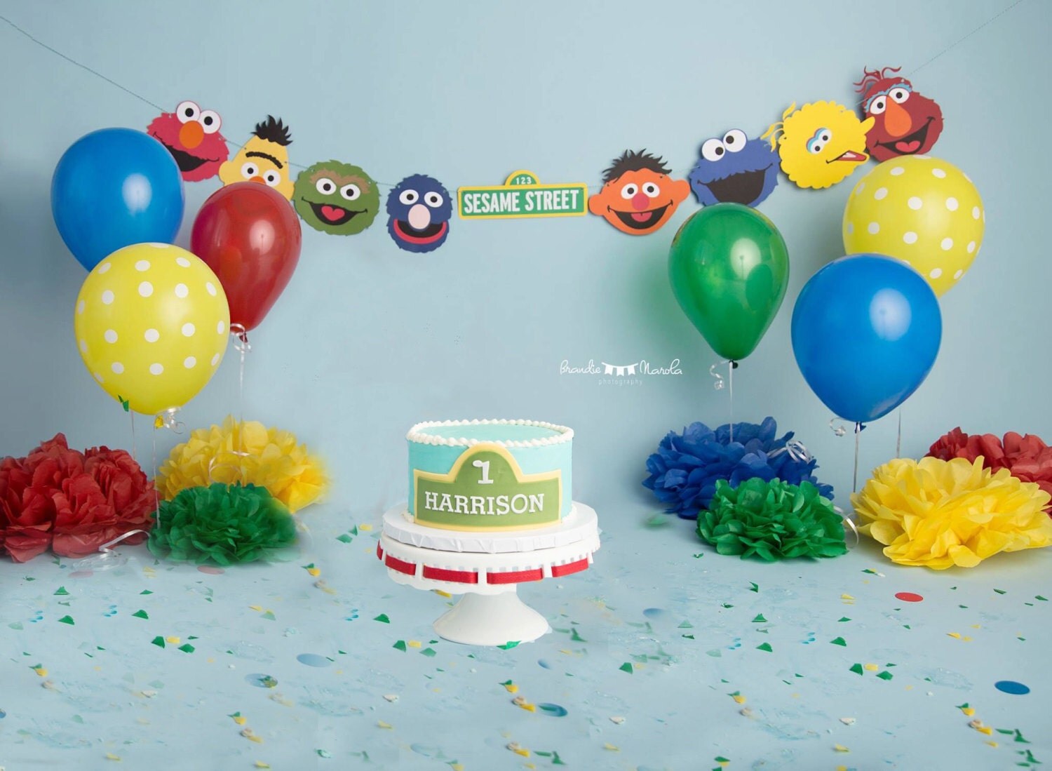 Sesame Street Banner 8 10 12 14 or 16 Characters Sesame