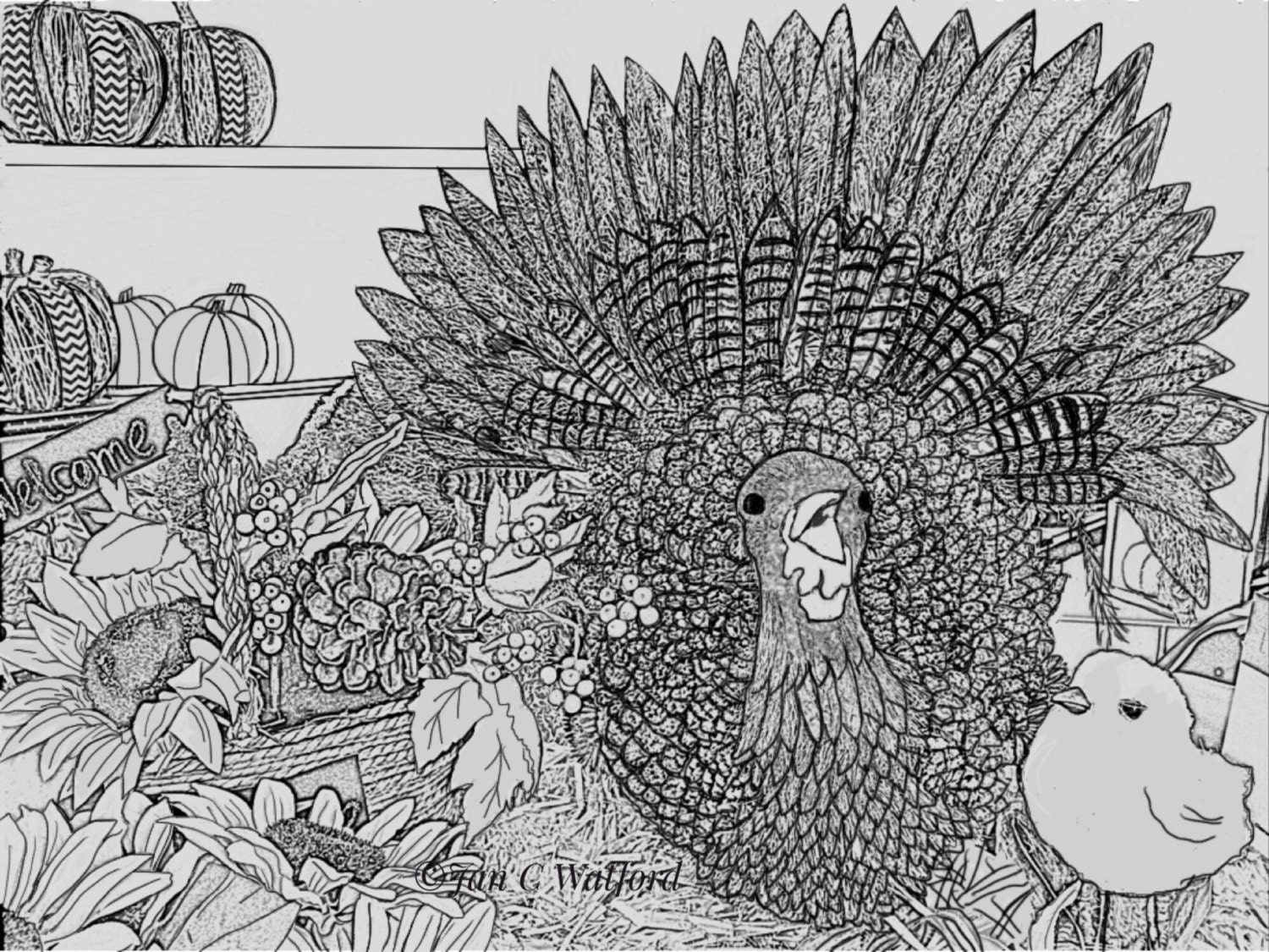 Thanksgiving Turkey Adult Coloring Pages Coloring Page Gray