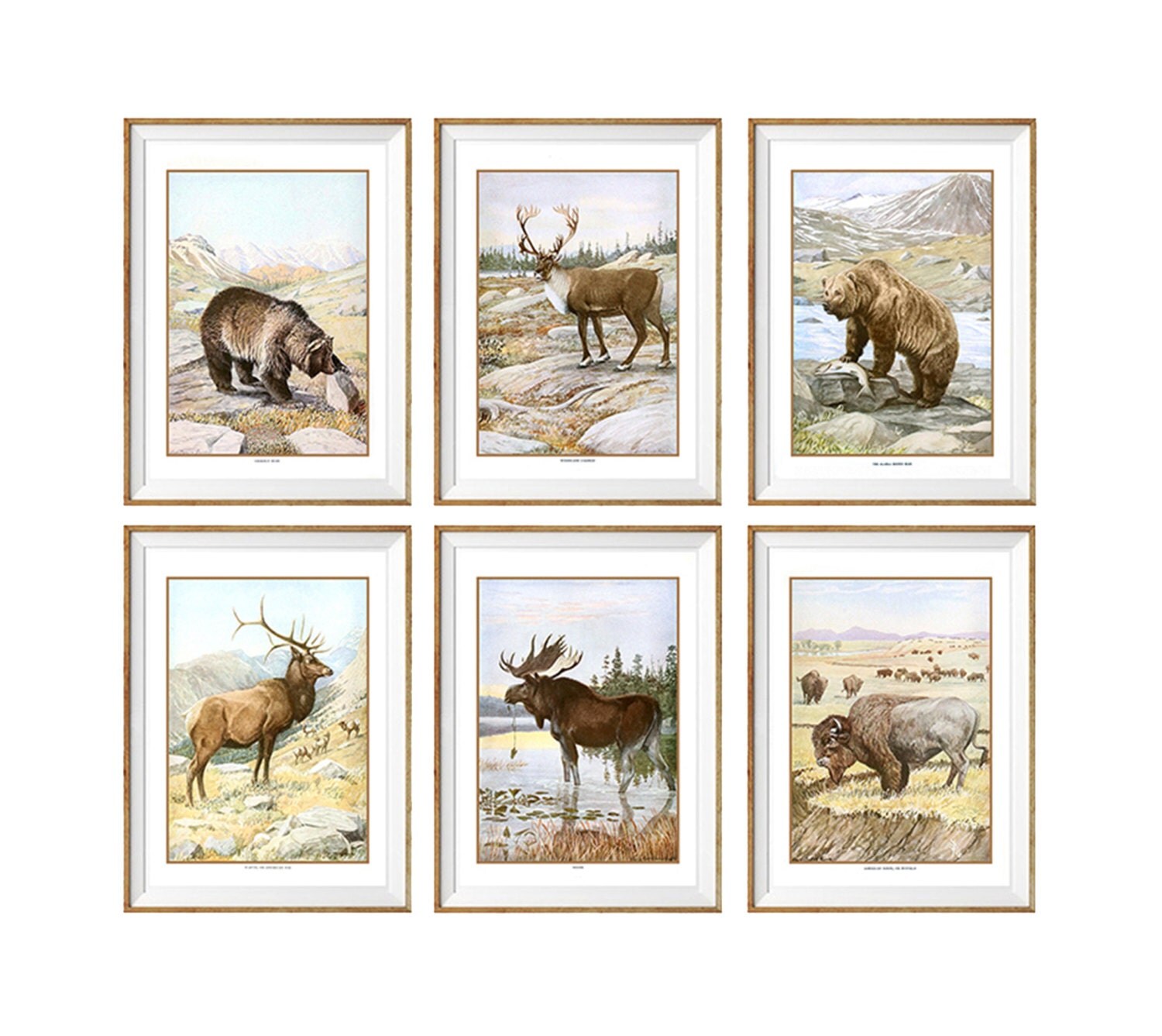 Wildlife Art Print SET of 6. cabin wall decor cabin wall art