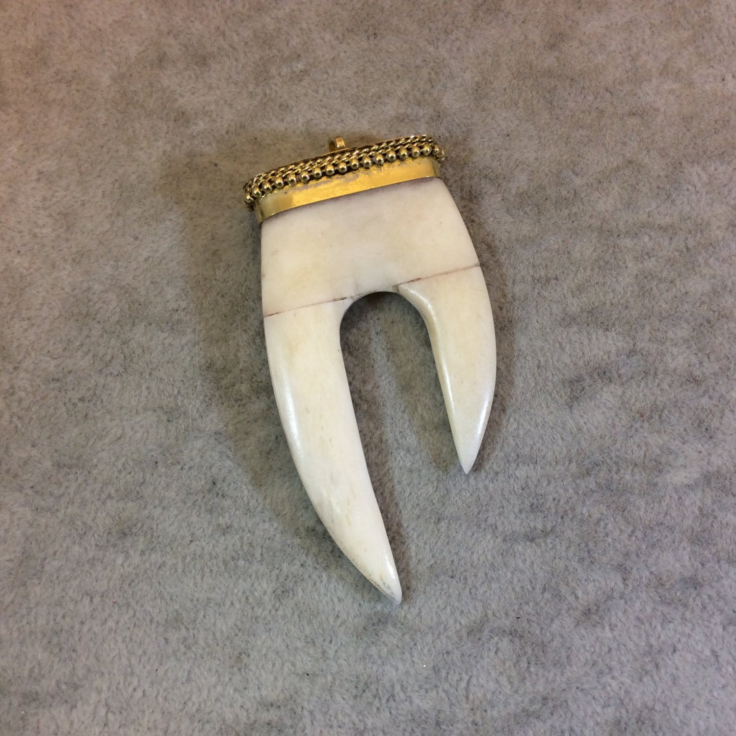 DISC 2.5 Long White/Ivory Ox Bone Dual Point Claw Shaped