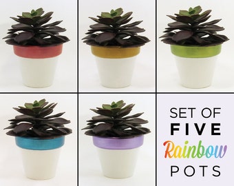 Succulent Planters, Flower Pot, Planter Set, Terracotta Pots, Air Plant Holder, Plant Pot, Succulent Pot, Indoor Planter, Rainbow - Set of 5