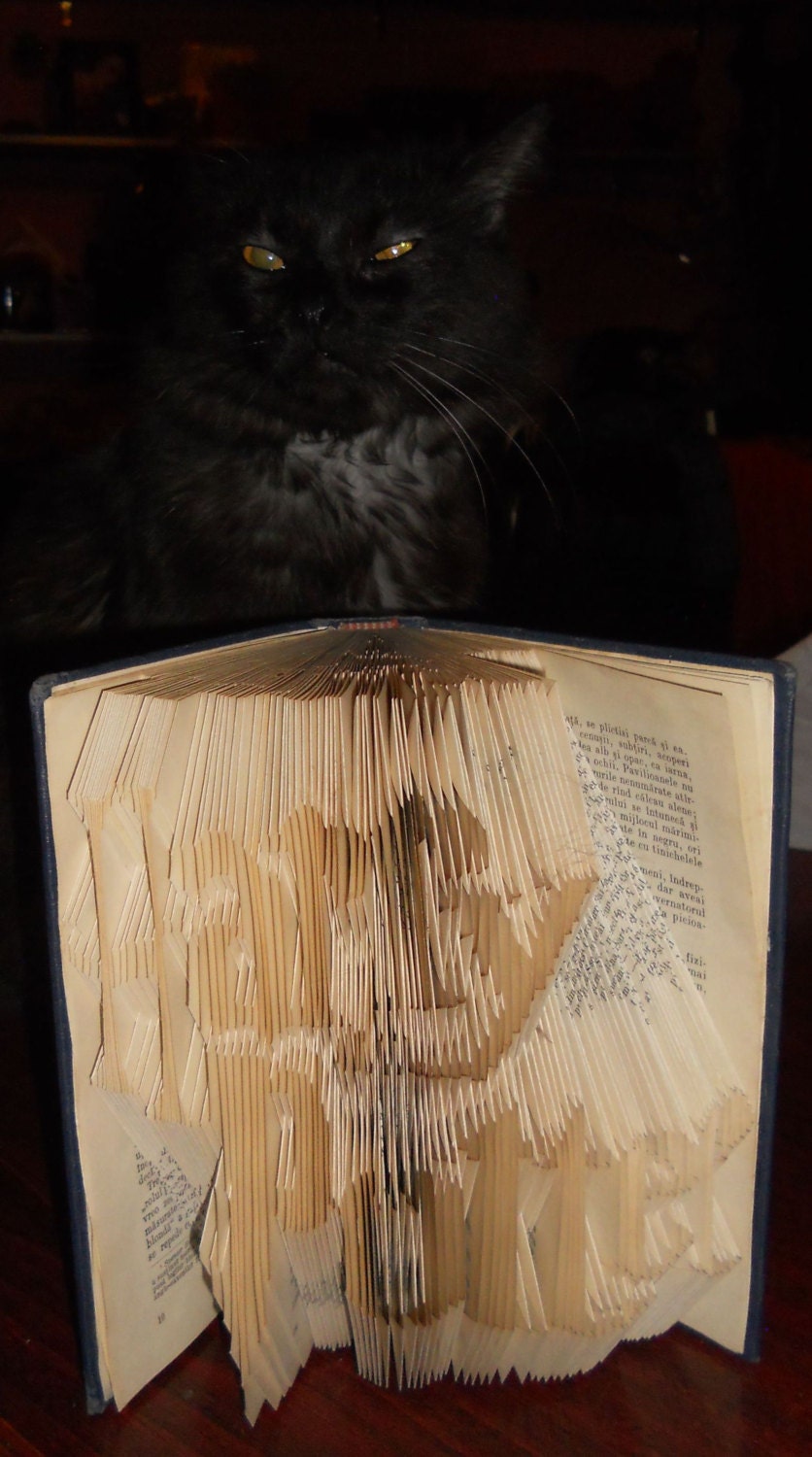 Harry Potter Book folding pattern and FREE Tutorial Harry