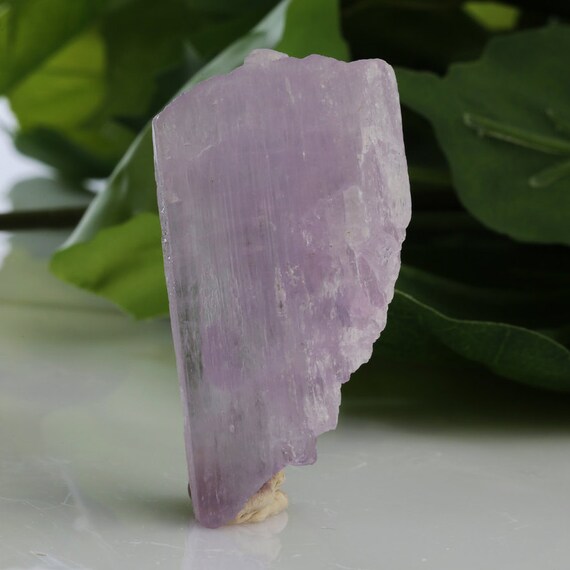 Wow Purple Spodumene Kunzite Crystal Specimen by PACIFICMINERALS