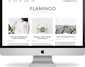Responsive wordpress theme design | "Flamingo" Wordpress Template | Fashion Blog Design | customize theme options