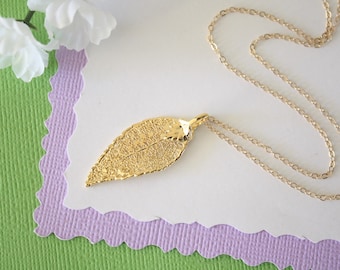 Small Gold Evergreen Leaf Necklace, Evergreen, Real Gold Leaf, Real Evergreen Leaf Necklace, Evergreen Leaf, Gold Filled, LC155