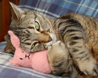 Honey Bunny Cat Toy - Hand Knit Wool Felted Organic Catnip