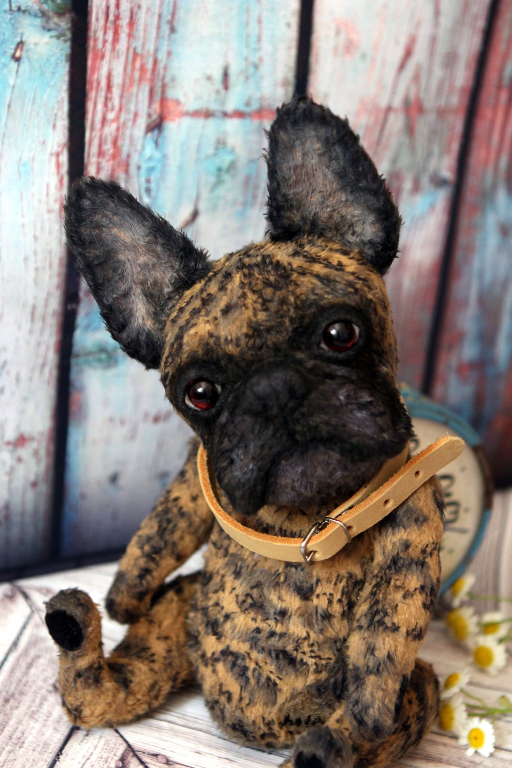 french bulldog teddy