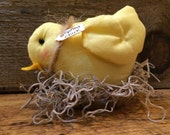 Spring Chick (head down)