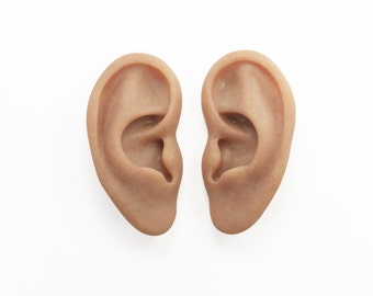 Ear Model Display Silicone Rubber Flexible Ear Sculptures Wall