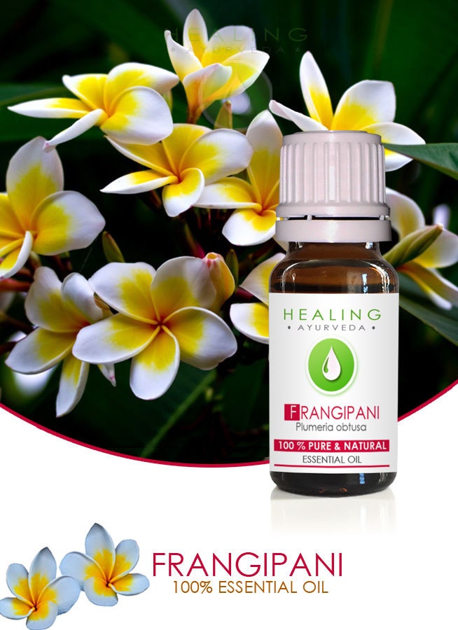 Frangipani Essential Oil Pure Natural Esssential Oil 100