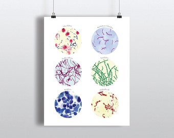 Bacteria Science Art poster print wall decor 8x10 inch 11 x 14 inch, Microbiology, molecular biology
