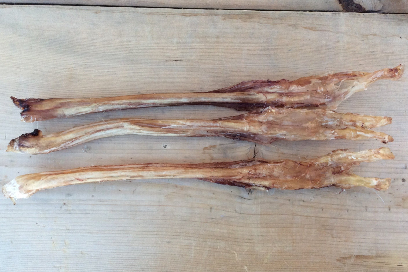 3 Authentic Deer Leg Tendon Sinew