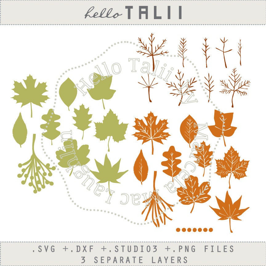 Download Fall Leaves SVG cutting files Clip Art Autumn by HelloTalii