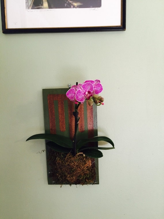 MOUNTED ORCHID purple orchid mounted on maple wood with hand