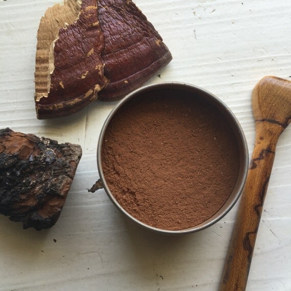 Medicinal Mushroom Hot Chocolate