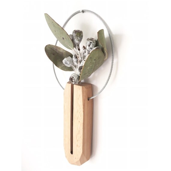 Hanging test tube vase hanging wall vase by kirraleeandco on Etsy