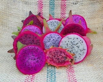 Pitaya , Pitahaya , Dragon Fruit , Plant Cuttings, 1 of 16 varieties to choose from
