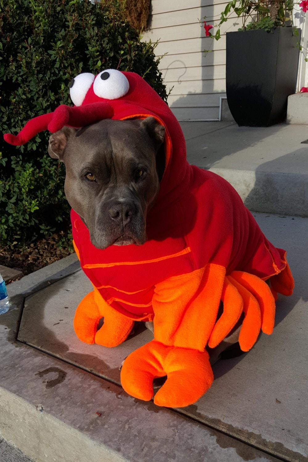 Dog Lobster Costume
 Lobster Costume for Dog X XX by Cozy Pawz