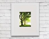 Tree Theme Print, Row of Trees, English Countryside, Avenue of Trees, Country Home Decor, Summertime Print, Photo Art Print,Digital Art, 49