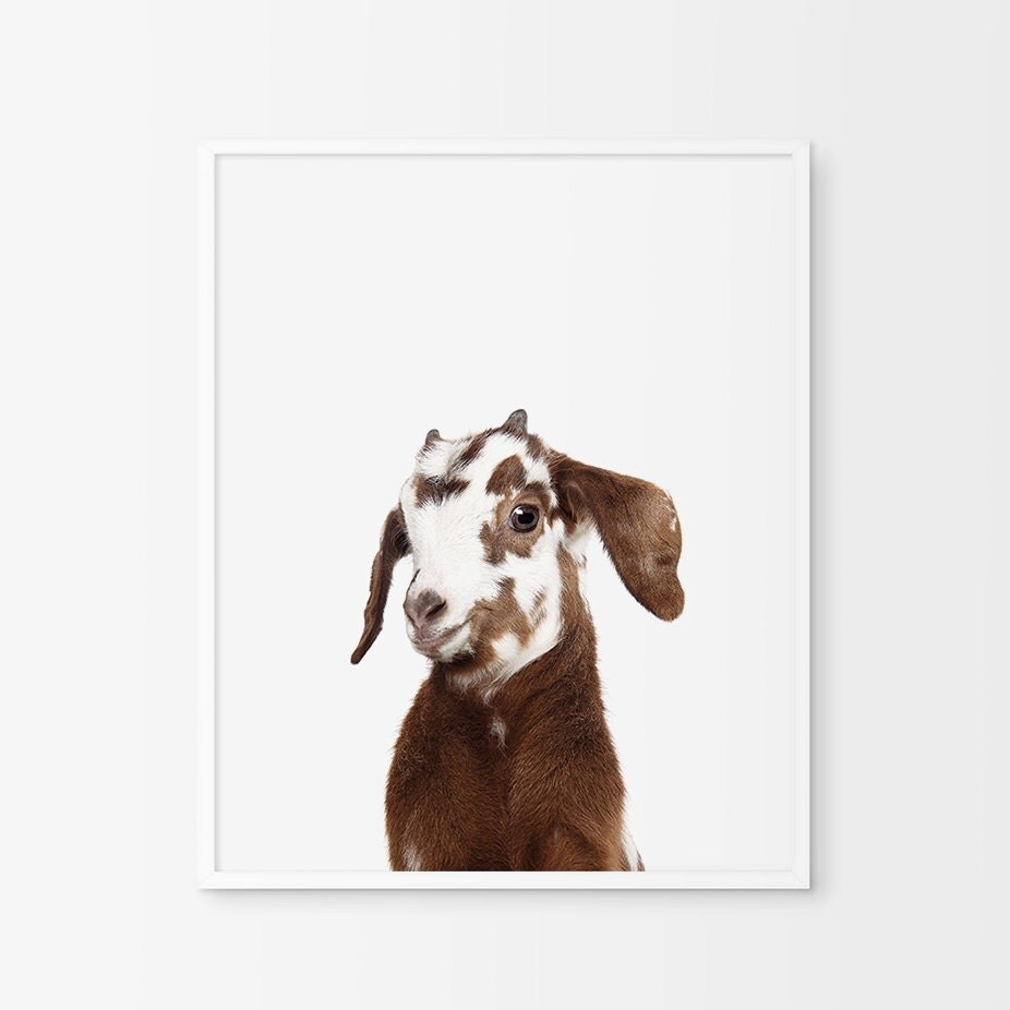 Goat Print Farm Decor Goat Wall Art Brown Gray by ChicScandinavian