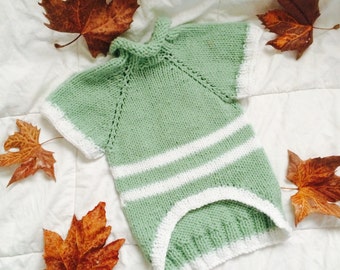 Green & White Striped Knitted Dog Sweater Available In Different Colors