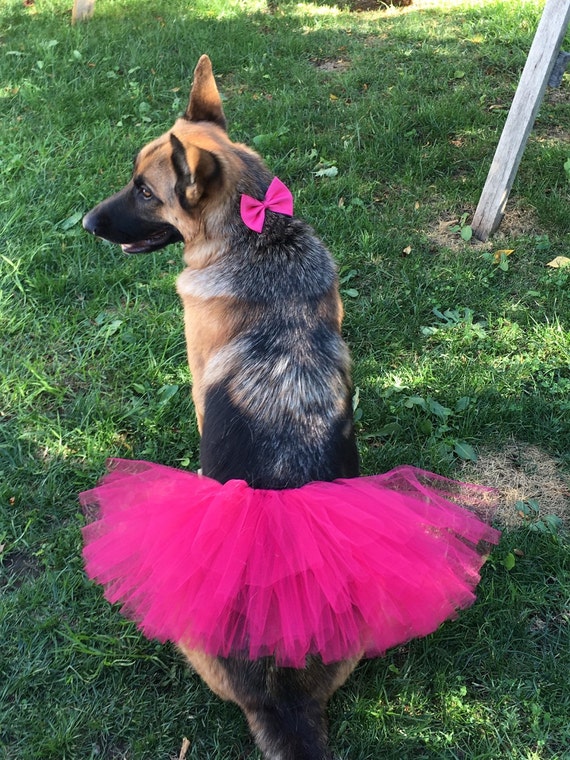Hot Pink Dog Tutu Pet Tutu Dog Skirt Dog Clothes Dog