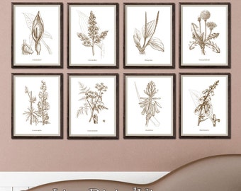Print set, Botanical print set, Set of 8 prints, Wall art vintage, Wall art set, Botanical printable, Floral printable, Set of prints, JPGA3