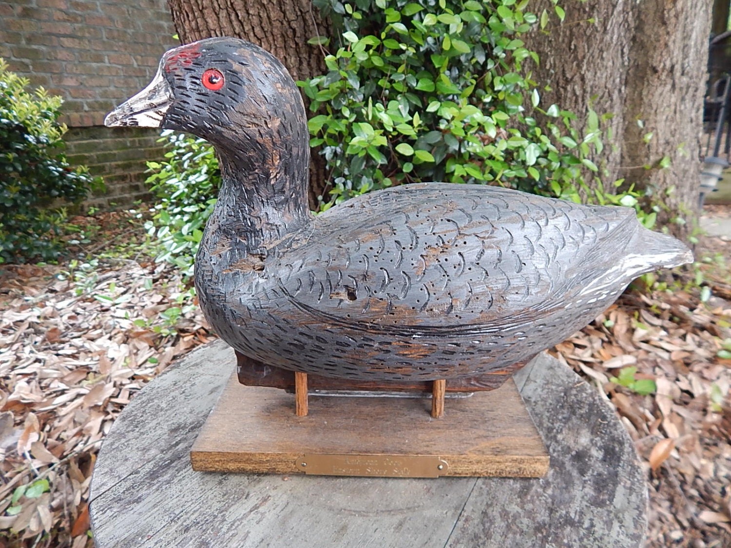 American Coot Coot Wooden Duck Decoy Decoy