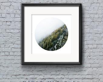 Foggy Forest Print, Circle Print, Misty Forest, Instant Download