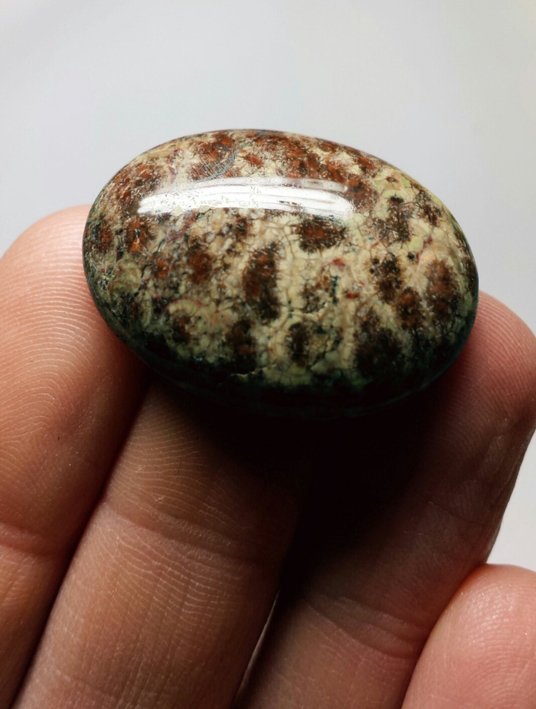 Fossil Jasper Cabochon Brown Tan Natural Genuine Real