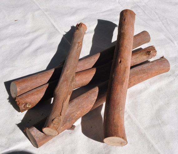 5 Gumtree Branches Wood Sticks For Kids Natural Dowels Decorative Bundle Of Rustic Wedding Branch From 5 Gumtree Branches Wood Sticks For Kids Natural Dowels Decorative Bundle Of Rustic Wedding Branch From