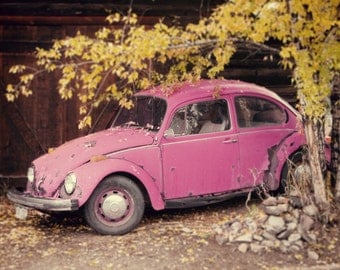 Items similar to Vintage VW Beetle. 60's Volkswagen Bug ...