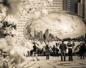 Chicago Photography, Chicago Print. Blooming Bean, The Bean Photo, The Cloud Gate, Millennium Park Print, Sepia Chicago Print