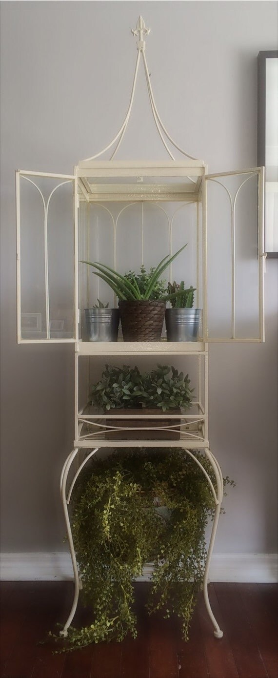 RARE Antique Terrarium / Wardian Case