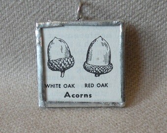 Oak / Acorn - Handmade Soldered Glass Pendant with Black and White Vintage Botanical Dictionary Illustration