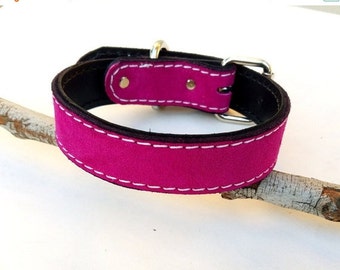 Suede (Chap Leather) Leather Dog Collar