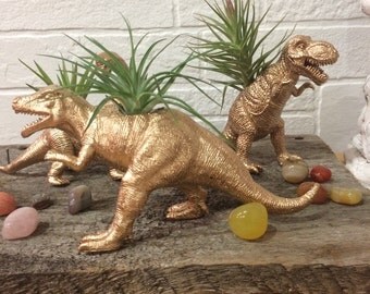 Air plants, dinosaurs, planters, home decor, Tillandsais,