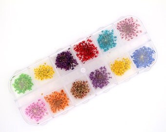 High Quality Real Dried Flower use for making Resin Accessories 12 Colors Set (Random Color)
