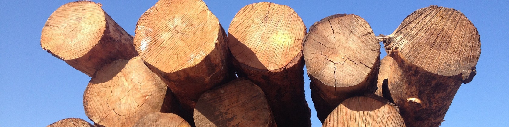 Handmade Furniture Home Goods Art Oddities by appendageandbough