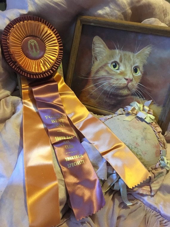 Vintage CFA CAT Show Satin Ribbon Rosette Award 4th Best