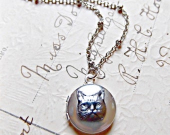The World's Tiniest Cat Locket