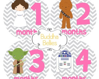 Star Wars Baby Fans Celebrate with Baby Month Stickers Girl Baby Shower Baby Stickers Nursery Monthly Baby Stickers
