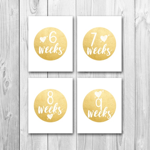 Pregnancy countdown weekly pregnancy signs gold foil