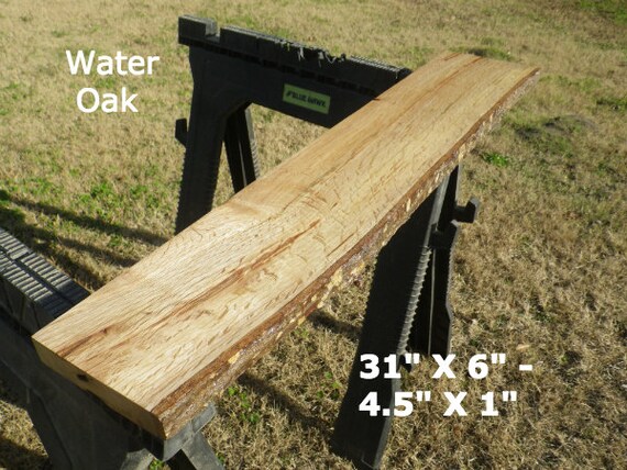 Live Edge Water Oak Wood Slab Finished DIY by HurricaneMilling