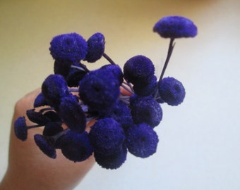 Purple Floral Buttons for DIY crafts, Wedding Decor, 30 dried flowers
