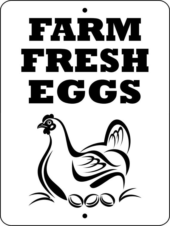 Farm Fresh Eggs Chicken Sign 9x12