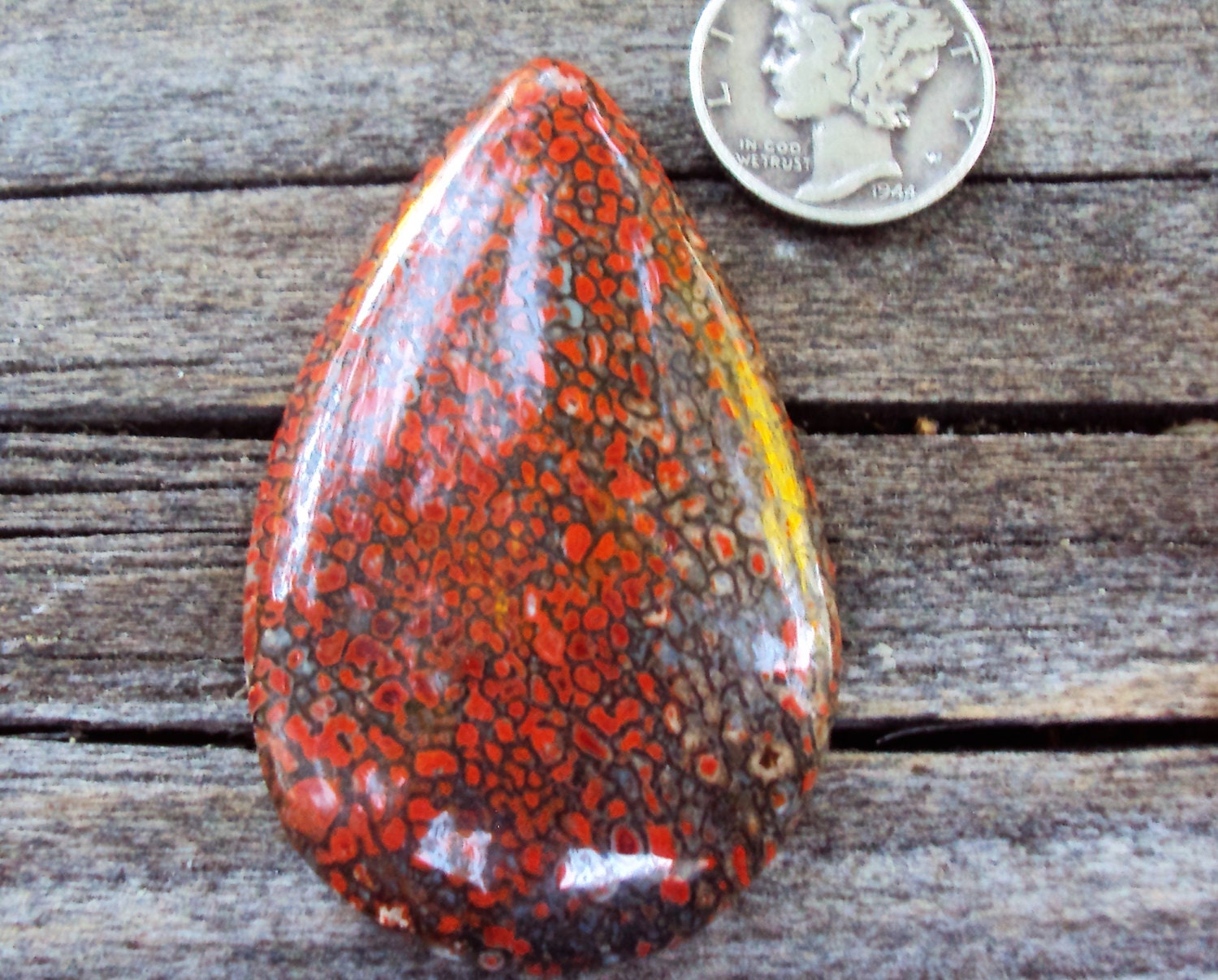 dinosaur gem bone