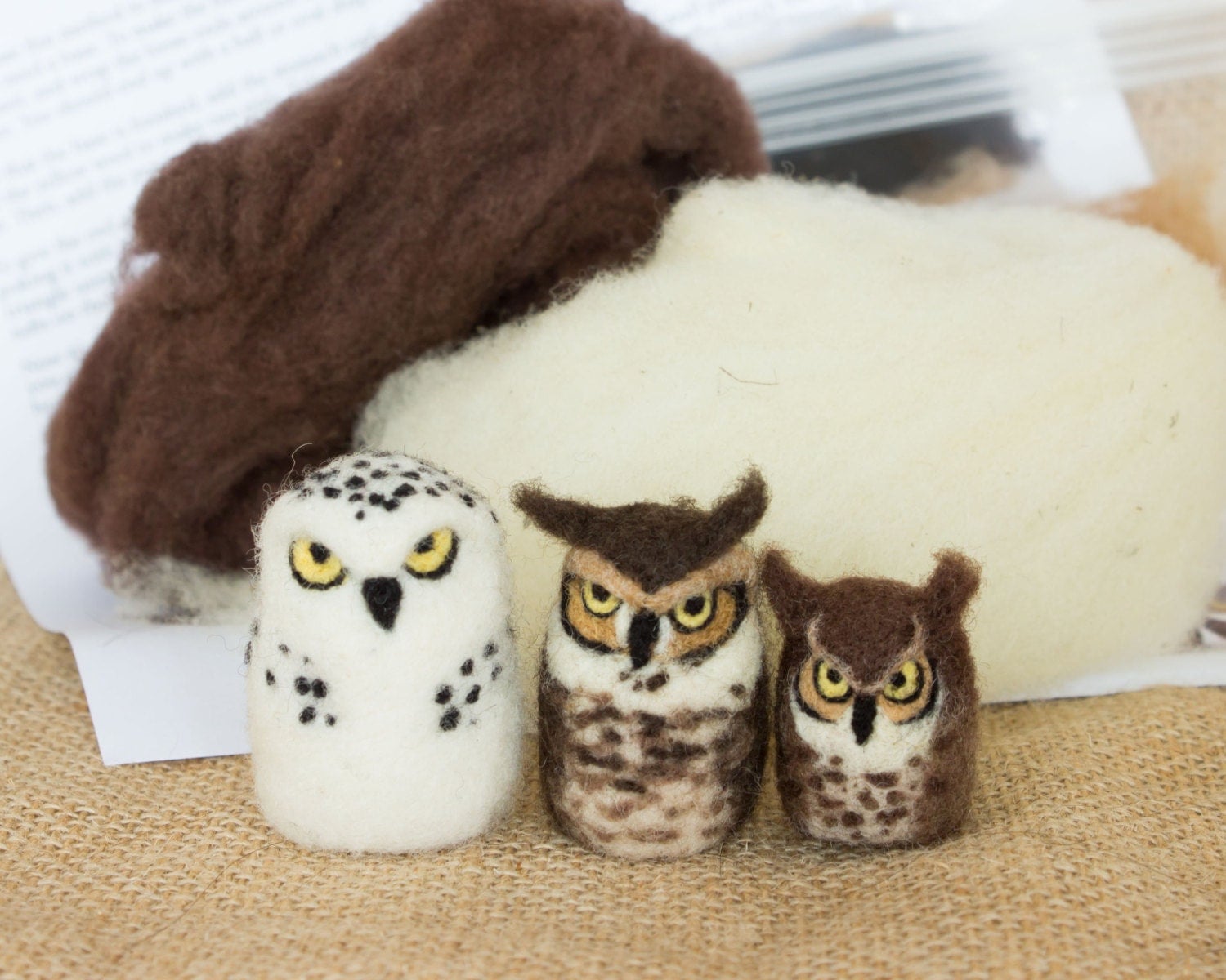Needle Felted Owls Kit