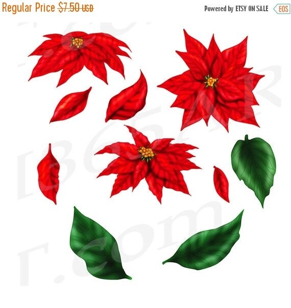clipart christmas flowers - photo #47